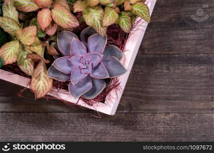 Close up view of floral arrangements with succulent on wooden background. Flat lay and copy space.. Close up view of floral arrangements on wooden background.