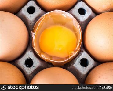 Close-up view of raw chicken. Every egg is a yellow egg. There is one egg to crack and shows prominently Surrounded by chicken eggs.