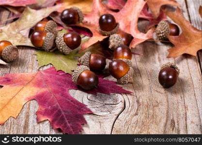 Close up view of seasonal autumn leaves and acorns on rustic wooden boards. Selective focus on front acorns.