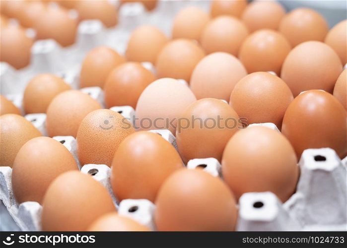 close up whole eggs in box. Chicken egg many. soft focus