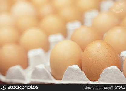 close up whole eggs in box. Chicken egg many. soft focus