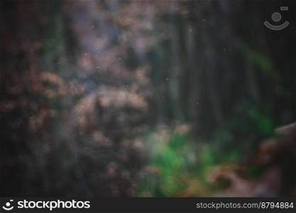 Close up wild forest ground blurry concept photo. Deep wood. Front view photography with fallen leaves on background. High quality picture for wallpaper, travel blog, magazine, article. Close up wild forest ground blurry concept photo
