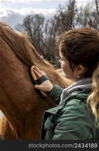 close up woman brushing horse