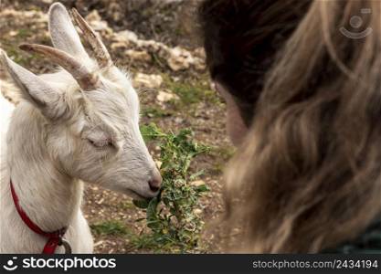 close up woman cute goat