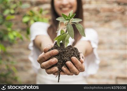 close up woman s hand holding seedling