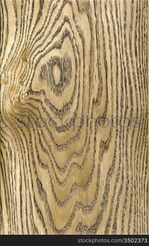 close-up wooden cut texture photo