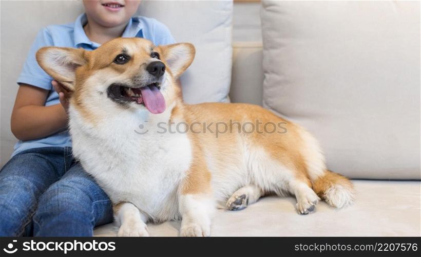 close up young boy petting family dog