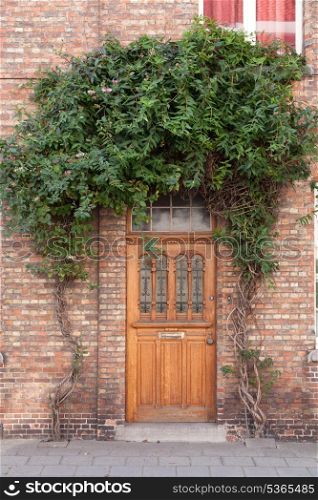 Closed door with vines on the street in Bruges, Belgium&#xA;