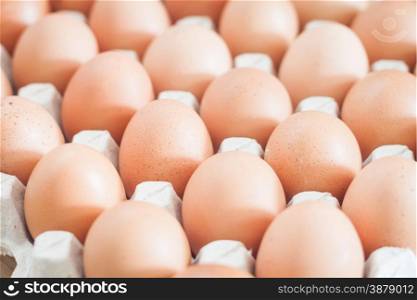 Closed up fresh chicken eggs, stock photo