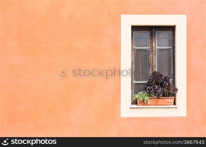 Closed window with planter and orange wall.