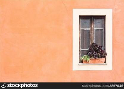Closed window with planter and orange wall.