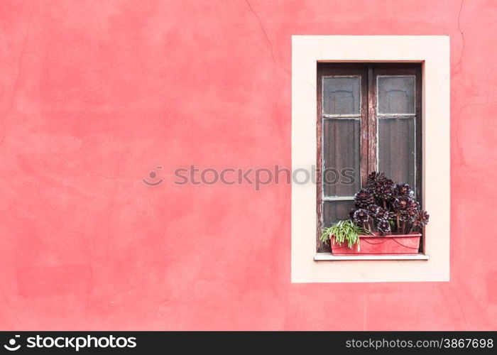 Closed window with planter and red wall.