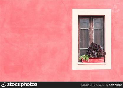 Closed window with planter and red wall.