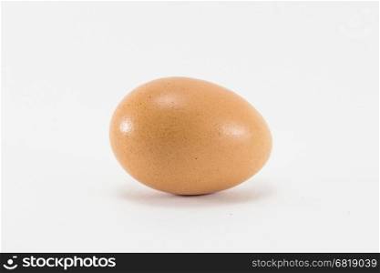 Closedup isolate single egg on white background