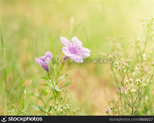 Closeup beautiful purple flowers with copy space. Green nature blurred background.