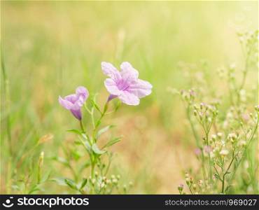 Closeup beautiful purple flowers with copy space. Green nature blurred background.