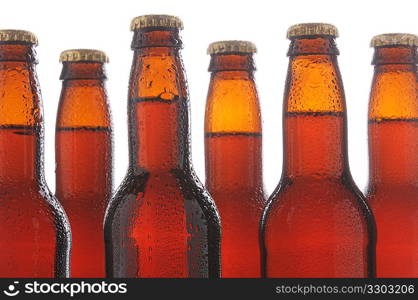 Closeup Beer Bottles