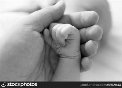 Closeup black and white shot of father holding newborn baby hand. Image with soft focus