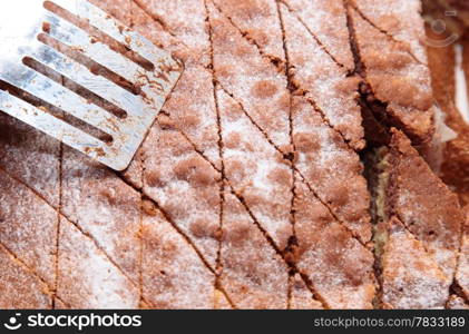 Closeup cake with powder sugar in tin and spatula food background