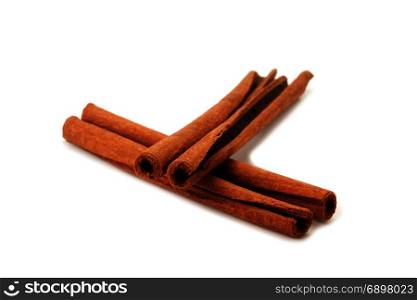 closeup Cinnamon stick spice isolated on white background