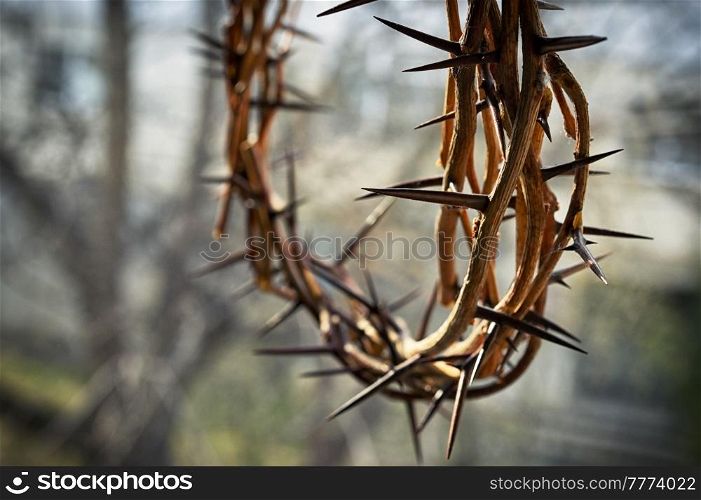 Closeup Crown of thorns and nature background