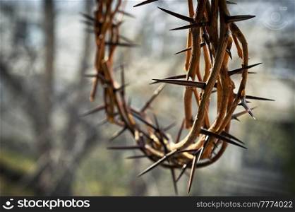 Closeup Crown of thorns and nature background