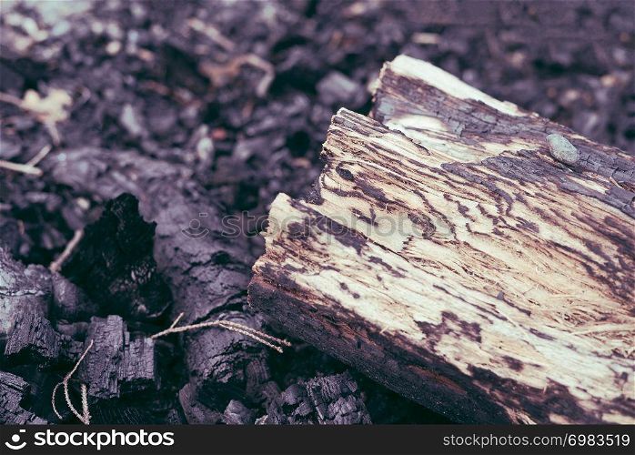 Closeup detail of tree log firewood on burnt hot charcoal remains from a outdoors summer barbecue campfire in the wilderness, with copyspace.. Closeup detail of tree log firewood on burnt hot charcoal remains from a outdoors summer barbecue campfire in the wilderness, with copyspace