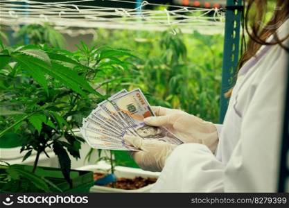 Closeup female scientist holding dollar banknotes money after gratifying profiting from selling medicinal cannabis grown and extracted from a curative cannabis farm in grow facility.. Scientist gain money after gratifying profiting from selling medicinal cannabis