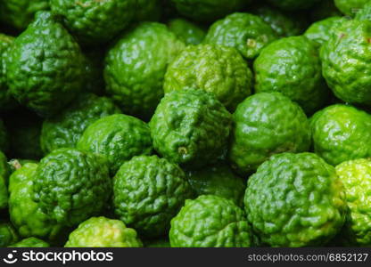 Closeup Group of kaffir Lime or Bergamot fruit on background.