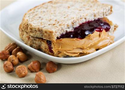 Closeup horizontal photo of a peanut butter and jelly sandwich cut in half, inside white plate with whole nuts lying on textured table cloth