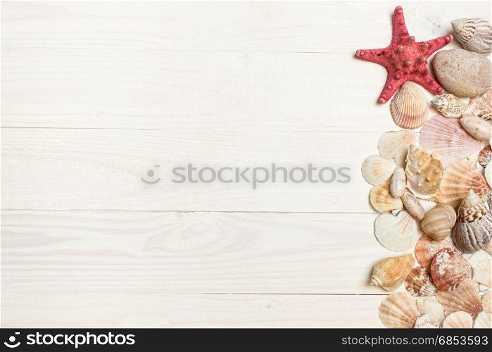 Closeup image of seashells and starfish lying on white wooden boards