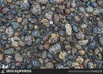 Closeup image rocks on the shore of Hood Canal in Wahsington State. Background or texture.