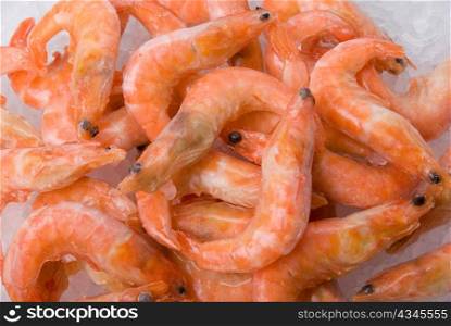 Closeup King shrimps at fishmarket on ice background