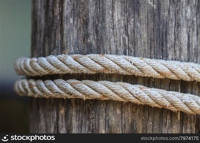 closeup knot of thick rope tied around a wooden stake