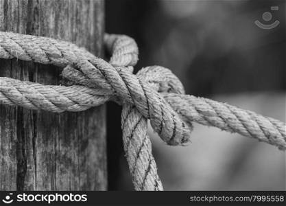 closeup knot of thick rope tied around a wooden stake, black and white tone