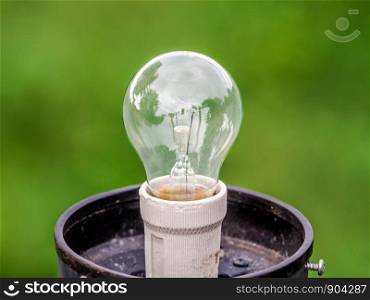 Closeup light bulb with green nature abstract blur background