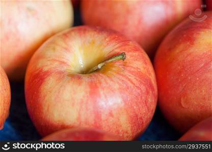 Closeup macro shot of the organic apples - Closeup of red-yellow juicy apple fruits