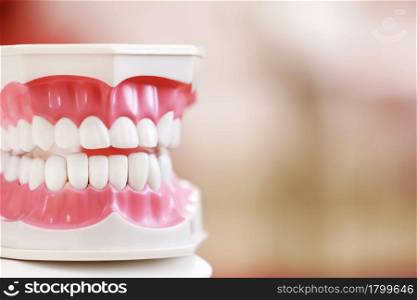 Closeup model of a human jaw with white teeth. jaw in dentistry. copy space. Clean denture, model of the jaw in the dentist&rsquo;s office. Dentistry conceptual photo. Prosthetic dentistry. False teet.. Closeup model of a human jaw with white teeth. jaw in dentistry. copy space. Clean denture, model of the jaw in the dentist&rsquo;s office. Dentistry conceptual photo. Prosthetic dentistry. False teet