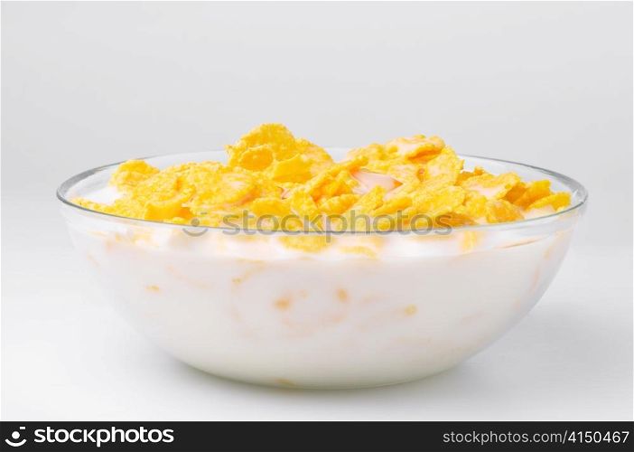 closeup of a bowl with cereal flakes