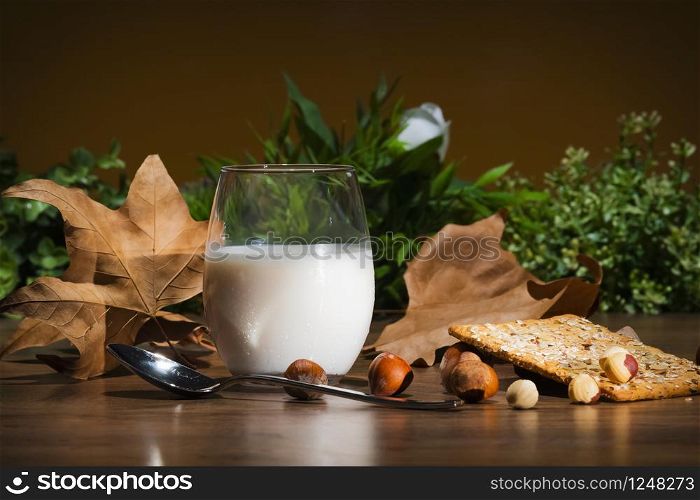 Closeup of a cool glass of milk surrounded by hazelnuts, a metal spoon, a cereal cracker and dry maple leaves on an out of focus background. Vegan and vegetarian concept.. Hazelnut milk glass with maple leaves and cereal cracker