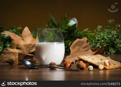 Closeup of a cool glass of milk surrounded by hazelnuts, a metal spoon, a cereal cracker and dry maple leaves on an out of focus background. Vegan and vegetarian concept.. Hazelnut milk glass with maple leaves and cereal cracker