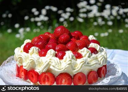 Closeup of a fresh strawberry cake outdoors in a garden with blossom daisies