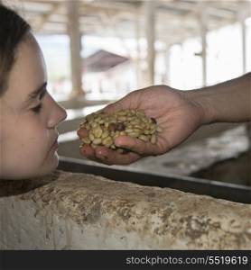 Closeup of a girl looking at coffee beans held by a person, Finca El Cisne, Honduras