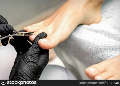 Closeup of a pedicure master is cutting and removing cuticle with nail tongs on female toes in a nail salon. Pedicure master is cutting cuticle