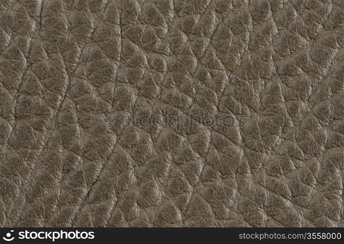 Closeup of abstract pattern on leather background.