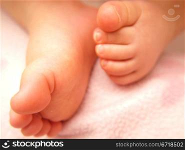 Closeup of baby feet, isolated towards pink