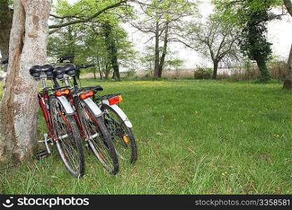 Closeup of bicycles in countryside