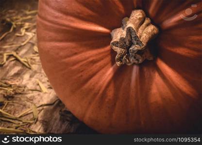 Closeup of big orange seasonal autumn pumpkin with stem on rural natural wood and hay in the countryside - Concept of traditional halloween celebration or decorative thanksgiving food.