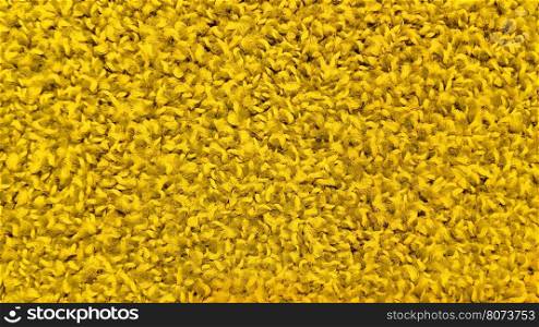 Closeup of bright yellow carpet texture