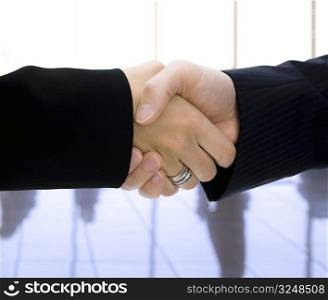 Closeup of business people (male and female) shaking hands.